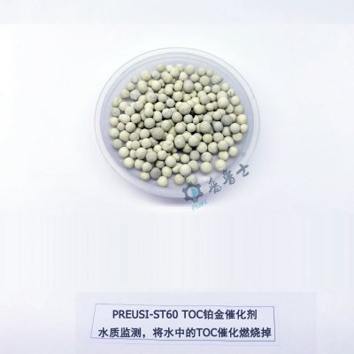 ST60 TOC铂催化剂